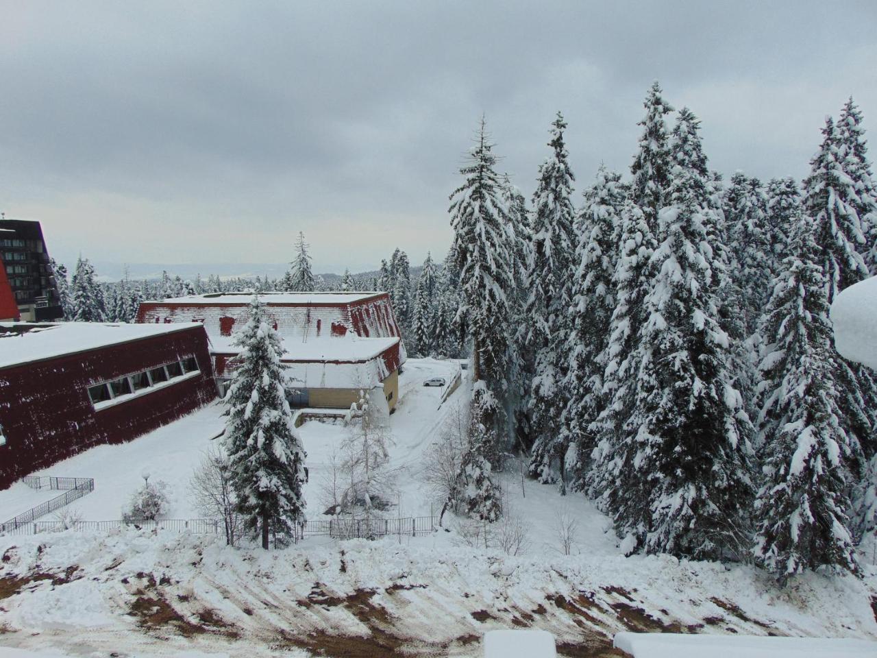 Ski Apartment Boyika Iglika 2 بوروفتس المظهر الخارجي الصورة